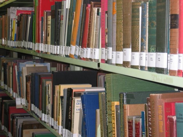 Biblioteca Civica Simpliciana: laboratori di lettura animata “Brividi e sussulti…arriva Halloween! Racconti animati, terrificanti, misteriosi ma anche un po’ scherzosi”