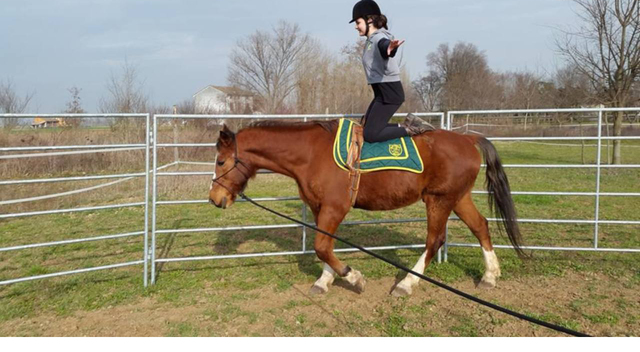 Progetto di sport terapia attuato in cooprogettazione con l’Associazione Sportivo Dilettantistica Equestre Fausto Noce
